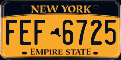 NY license plate FEF6725