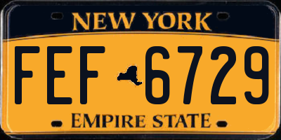 NY license plate FEF6729