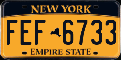 NY license plate FEF6733