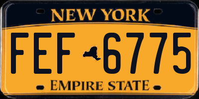 NY license plate FEF6775