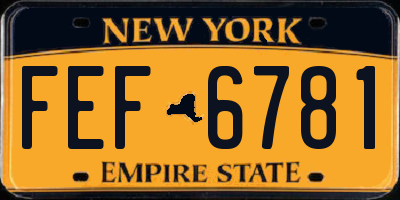 NY license plate FEF6781