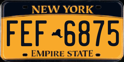 NY license plate FEF6875