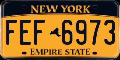 NY license plate FEF6973
