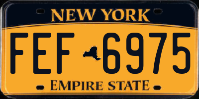 NY license plate FEF6975