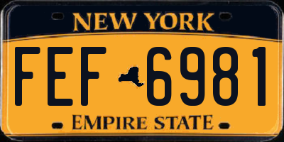 NY license plate FEF6981