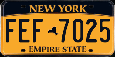 NY license plate FEF7025