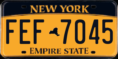 NY license plate FEF7045