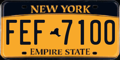 NY license plate FEF7100