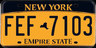 NY license plate FEF7103