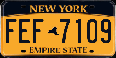 NY license plate FEF7109
