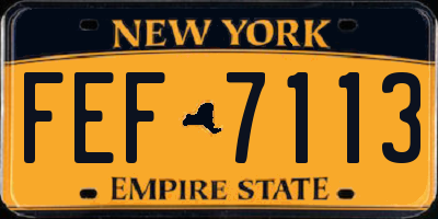 NY license plate FEF7113