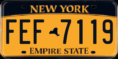 NY license plate FEF7119