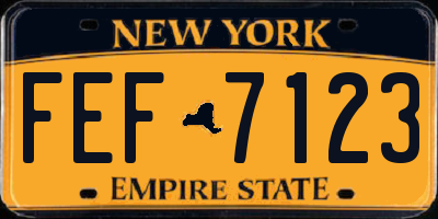 NY license plate FEF7123