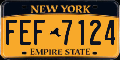 NY license plate FEF7124