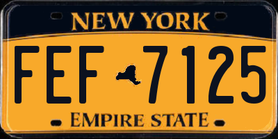 NY license plate FEF7125