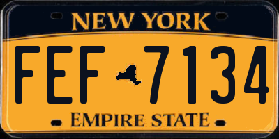 NY license plate FEF7134