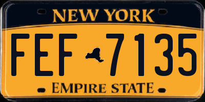 NY license plate FEF7135