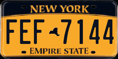NY license plate FEF7144