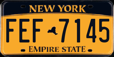 NY license plate FEF7145