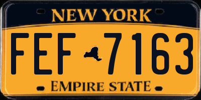 NY license plate FEF7163