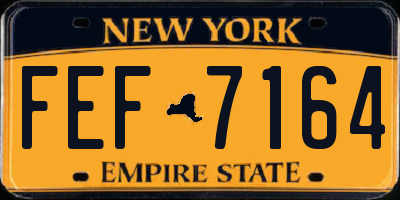 NY license plate FEF7164