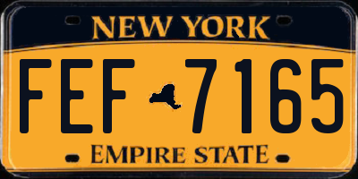 NY license plate FEF7165