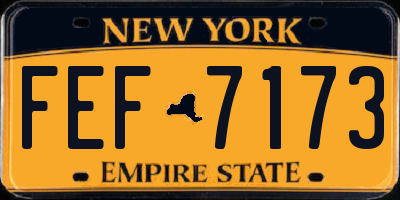 NY license plate FEF7173