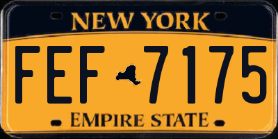 NY license plate FEF7175
