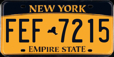 NY license plate FEF7215