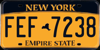 NY license plate FEF7238