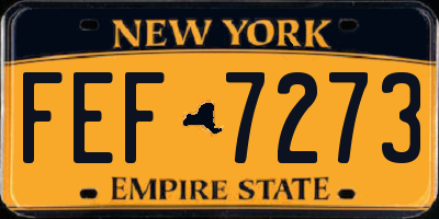 NY license plate FEF7273