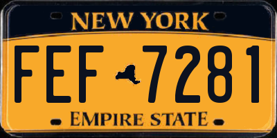 NY license plate FEF7281