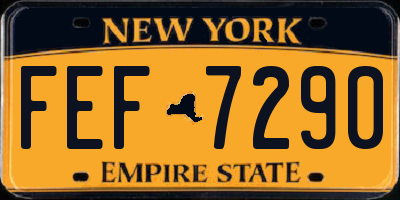 NY license plate FEF7290