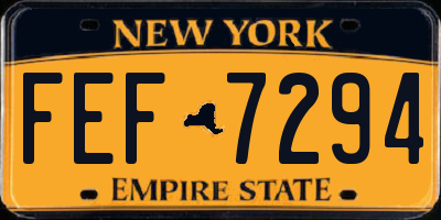 NY license plate FEF7294