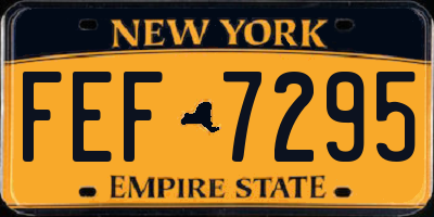 NY license plate FEF7295