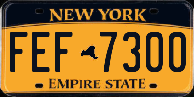 NY license plate FEF7300