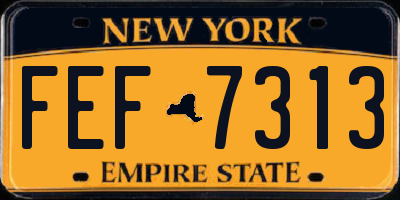 NY license plate FEF7313