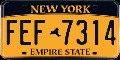 NY license plate FEF7314