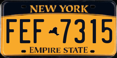 NY license plate FEF7315