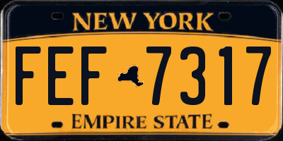 NY license plate FEF7317
