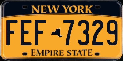 NY license plate FEF7329