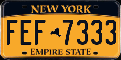 NY license plate FEF7333