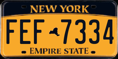 NY license plate FEF7334