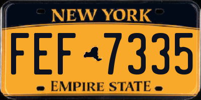 NY license plate FEF7335