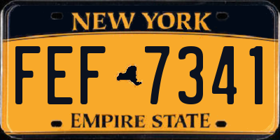 NY license plate FEF7341
