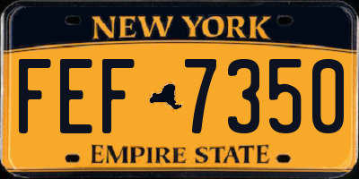 NY license plate FEF7350