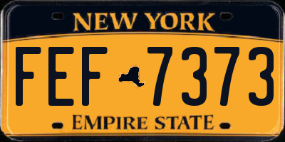 NY license plate FEF7373