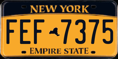 NY license plate FEF7375