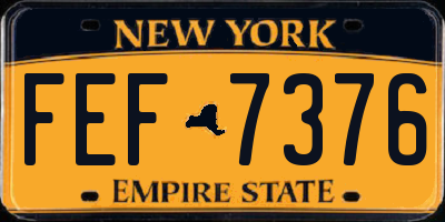 NY license plate FEF7376