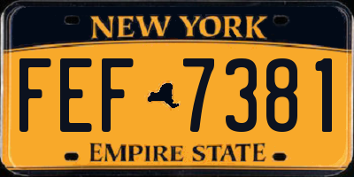 NY license plate FEF7381